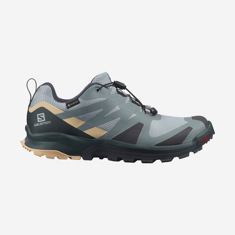 Salomon XA ROGG GTX W Zapatillas Trail Running Mujer - Verde / Creme - Colombia (52061-DKOA)